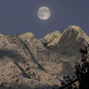 欧美猛男同志Gay片刺激网站
